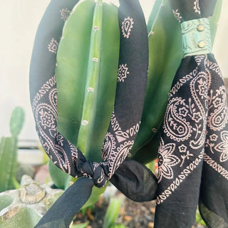 Boots Are My Roots Midnight Tide Bandana (view 3) | Après Sea Ranch